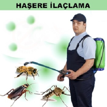 Altınözü Böcek İlaçlama